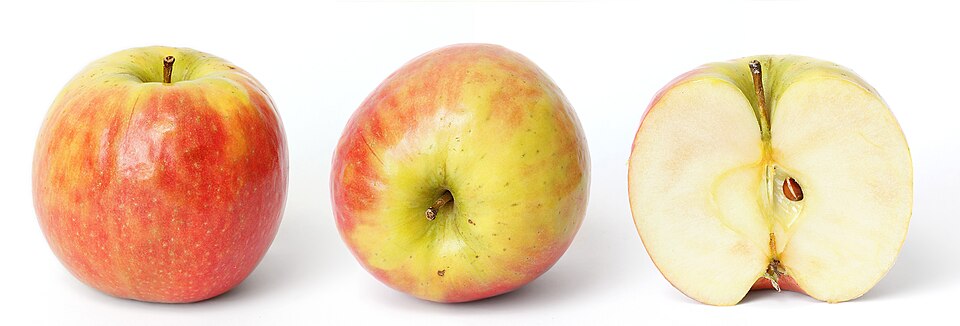 Apple Shimla