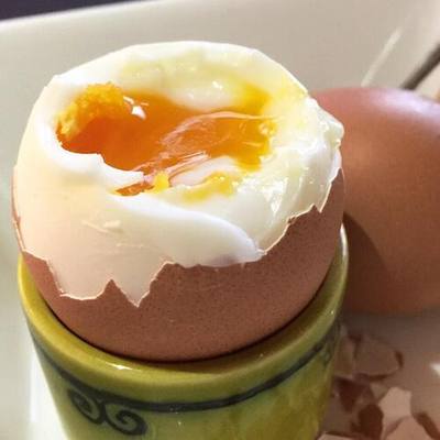 Boiled Egg