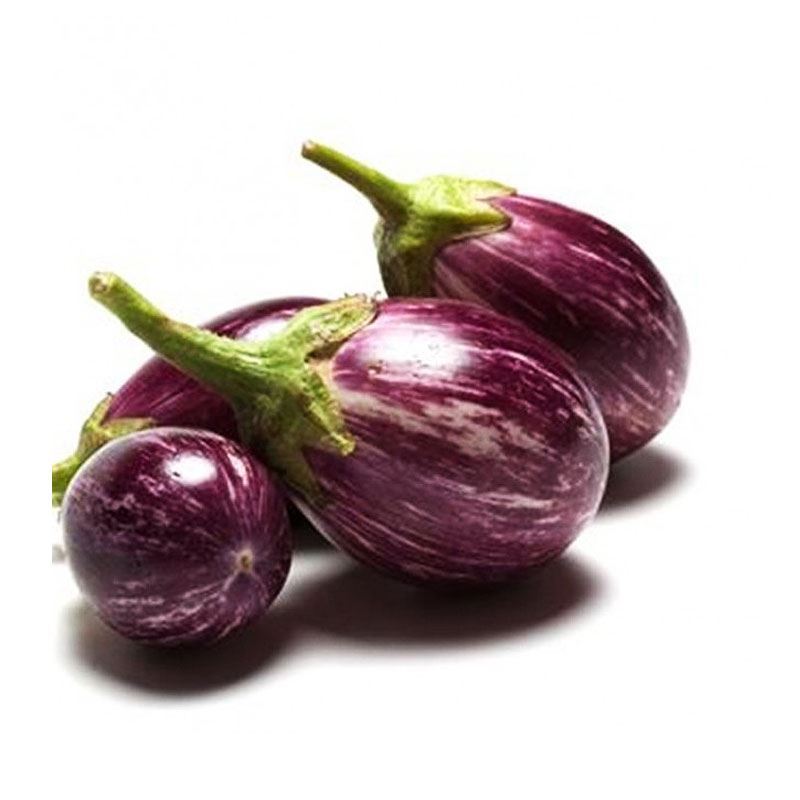 Brinjal